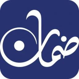 Daman Markets logo